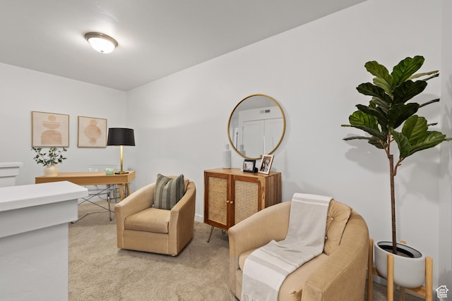 office featuring light colored carpet