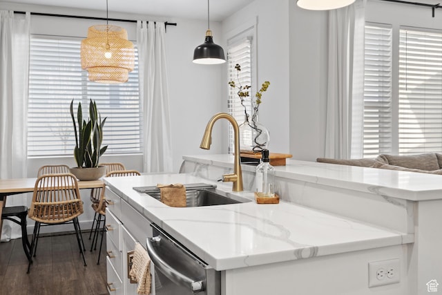 kitchen with dark wood-style flooring, a sink, plenty of natural light, and stainless steel dishwasher