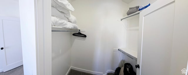 900 Bitner Rd Unit G-32, Park City, UT 84098 - view of spacious closet
