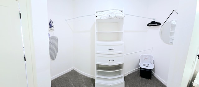 900 Bitner Rd Unit G-32, Park City, UT 84098 - spacious closet featuring carpet floors