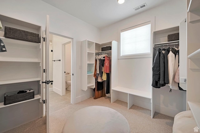 563 W Founders Blvd Unit 90, Saratoga Springs, UT 84045 - walk in closet featuring light carpet