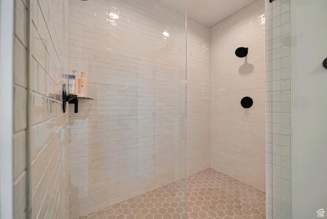 563 W Founders Blvd Unit 90, Saratoga Springs, UT 84045 - full bath with tiled shower