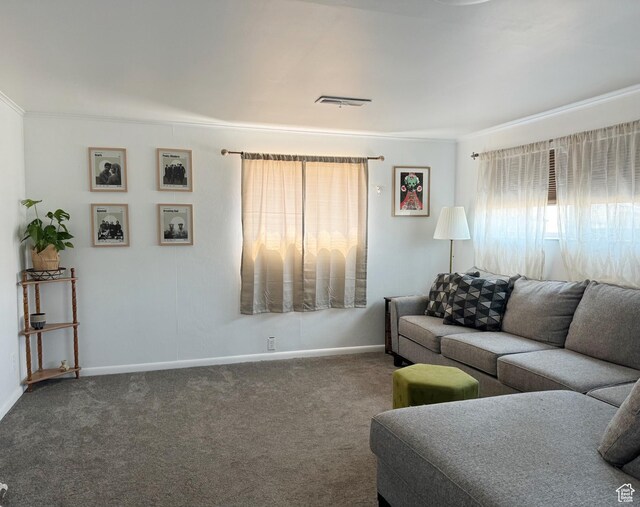 living room featuring carpet, visible vents, baseboards, and crown molding