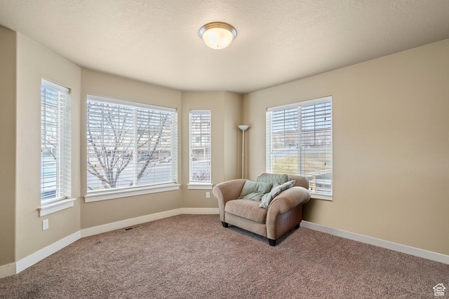 2043 W 1080 N, Provo, UT 84604 - sitting room featuring carpet flooring, baseboards, visible vents, and a textured ceiling