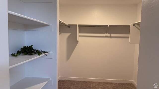 7886 S Fauna Ln W, West Jordan, UT 84081 - walk in closet featuring carpet floors