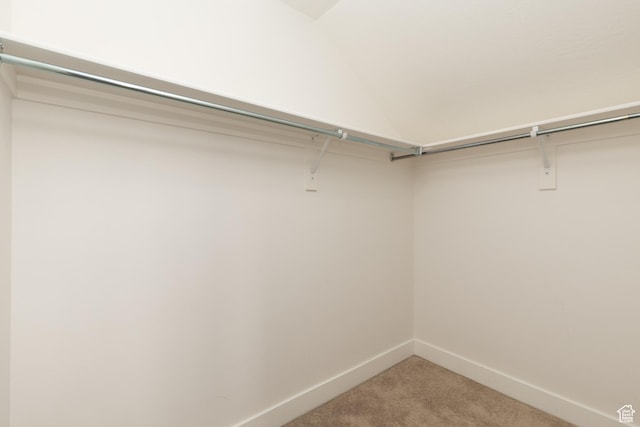 777 S Lake View Dr, Vineyard, UT 84059 - walk in closet featuring light carpet