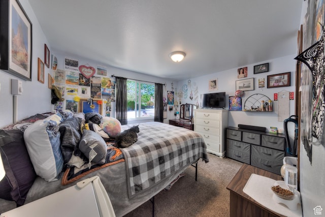 451 & Dr, Moab, UT 84532 - view of carpeted bedroom