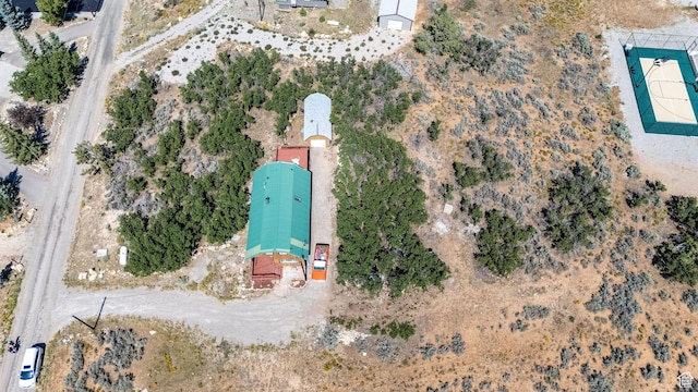 bird's eye view