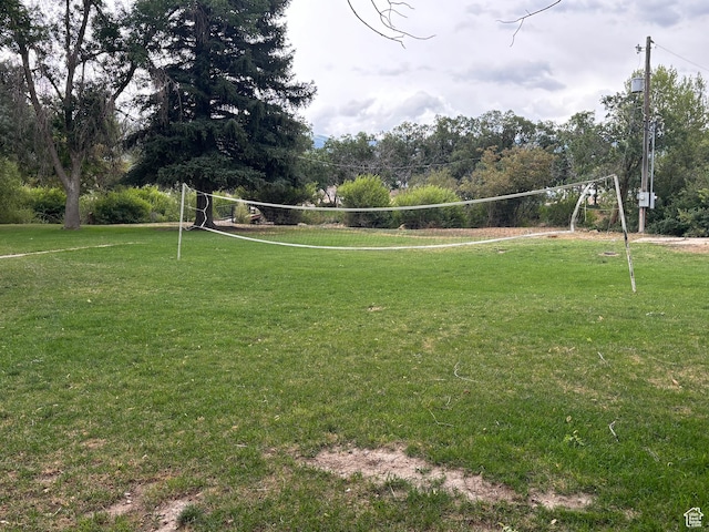 view of property's community featuring a yard and volleyball court