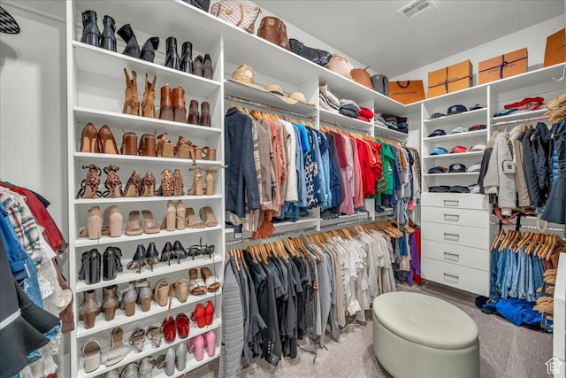 2904 E Stonedale Dr, St George, UT 84790 - spacious closet featuring carpet flooring and visible vents