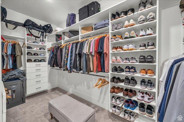 2904 E Stonedale Dr, St George, UT 84790 - walk in closet featuring carpet