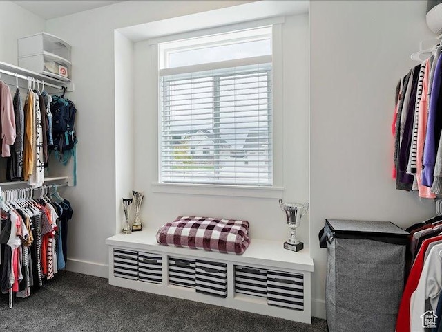 170 W 825 S, Willard, UT 84340 - spacious closet with dark colored carpet