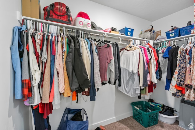 1027 E Reef Dr, Saratoga Springs, UT 84045 - spacious closet featuring carpet