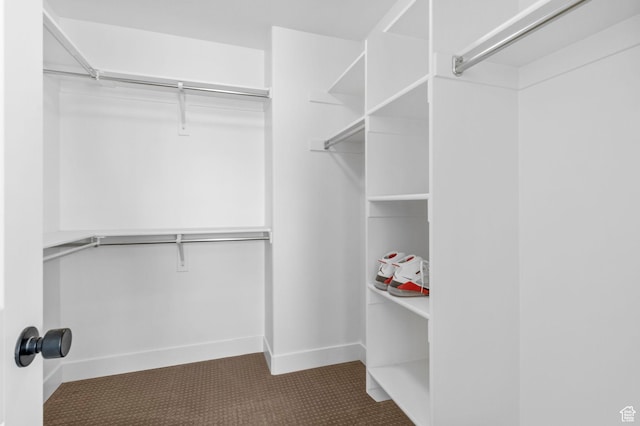 764 E 760 S, Pleasant Grove, UT 84062 - view of spacious closet
