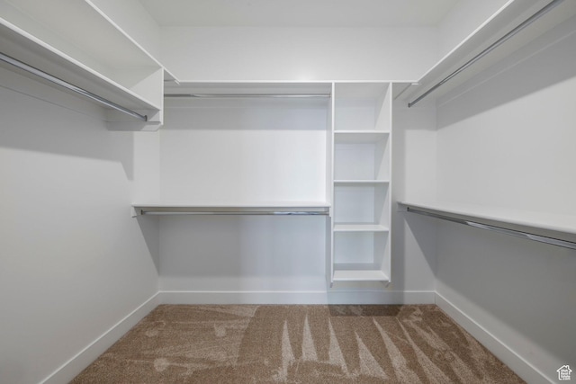 2744 E 1060 S, Spanish Fork, UT 84660 - spacious closet with carpet floors
