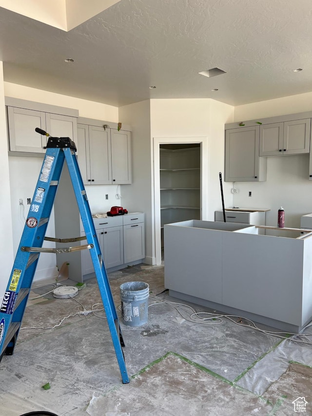 336 W Rosie Loop Unit 45W, Cedar City, UT 84721 - kitchen featuring gray cabinets and a textured ceiling
