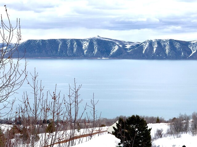 687 Calamity Dr Unit 402, Fish Haven, ID 83287