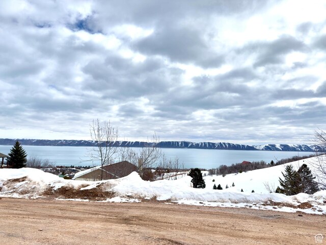 687 Calamity Dr Unit 402, Fish Haven, ID 83287