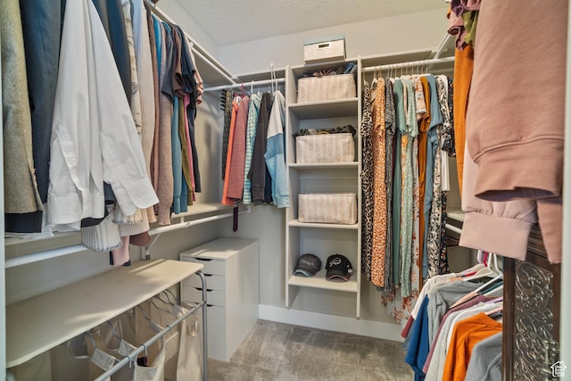 2558 Mountain Glen Rd, Erda, UT 84074 - walk in closet with carpet