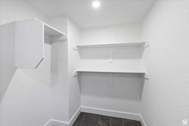 590 E 7th St, Ogden, UT 84404 - spacious closet with carpet