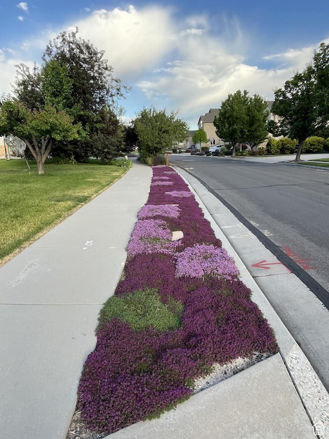 view of street featuring sidewalks