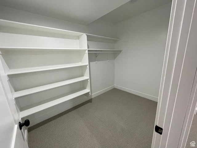 10887 S Lamond Dr, South Jordan, UT 84009 - spacious closet featuring dark colored carpet