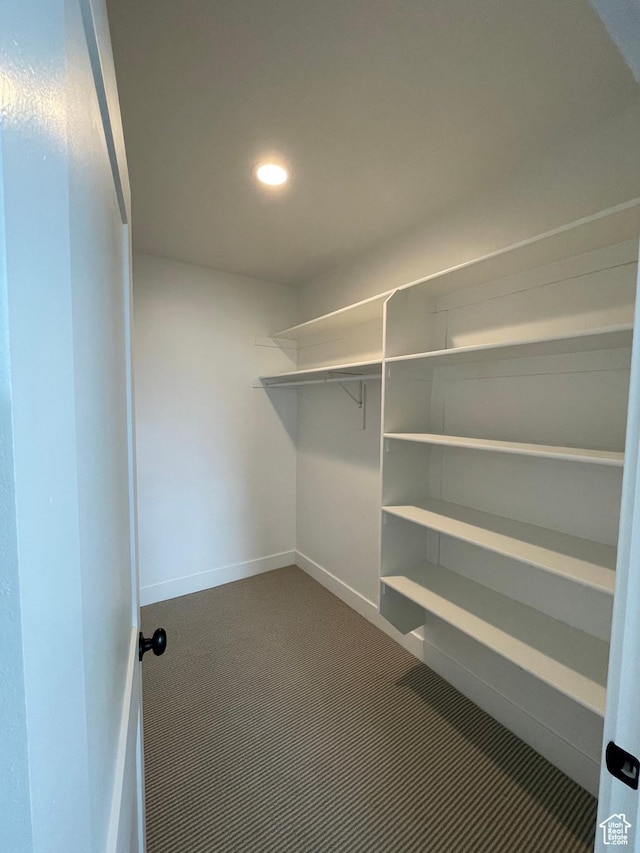 10887 S Lamond Dr, South Jordan, UT 84009 - spacious closet with dark carpet