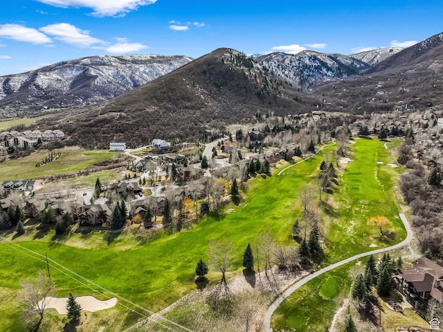 1056 W Lime Canyon Rd, Midway, UT 84049 - property view of mountains