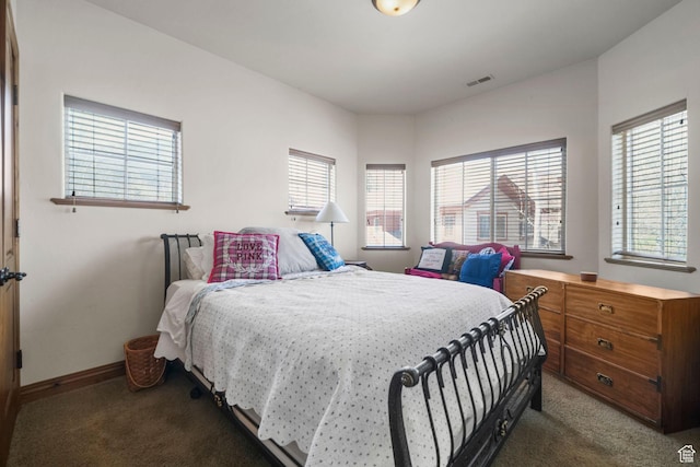 1056 W Lime Canyon Rd, Midway, UT 84049 - bedroom with visible vents, baseboards, and carpet