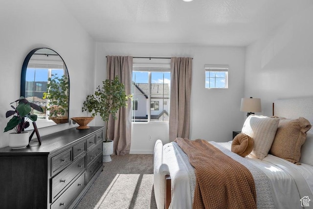 bedroom with multiple windows and light carpet