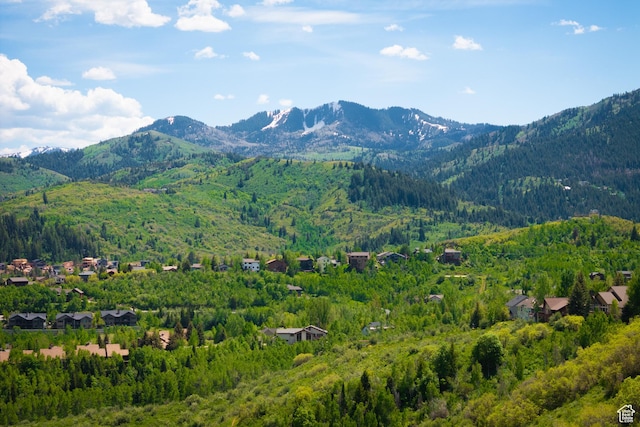 4115 Moose Hollow Loop, Park City, UT 84098 - view of mountain backdrop with a heavily wooded area