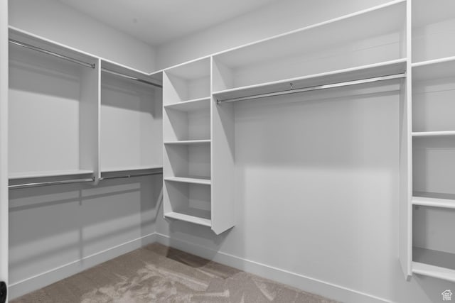 1036 E Fremont St, Washington, UT 84780 - spacious closet featuring carpet flooring