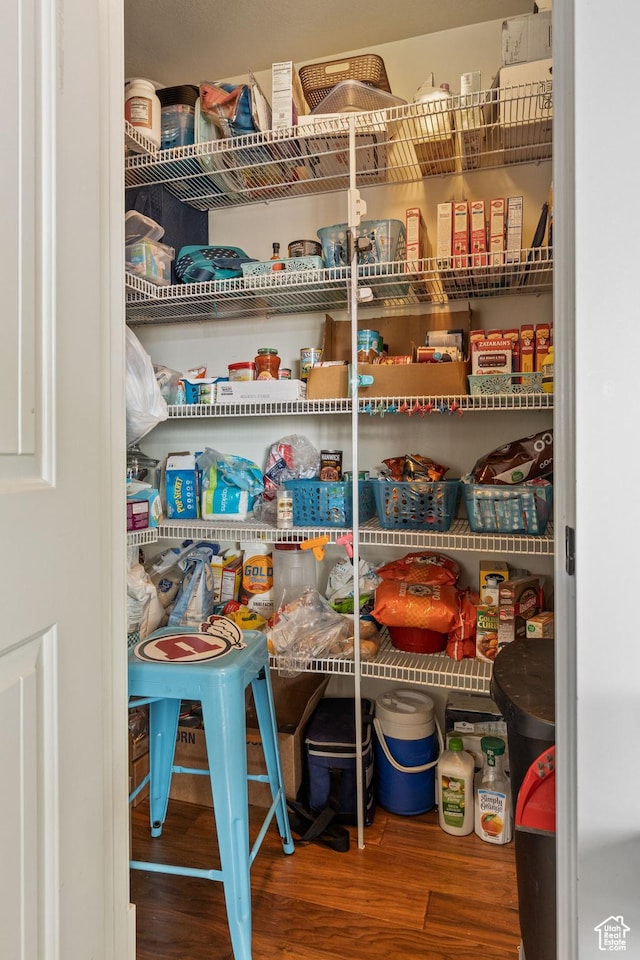 1035 E 300 S, Santaquin, UT 84655 - view of pantry