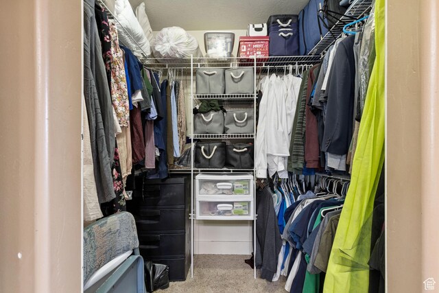 1035 E 300 S, Santaquin, UT 84655 - walk in closet featuring carpet