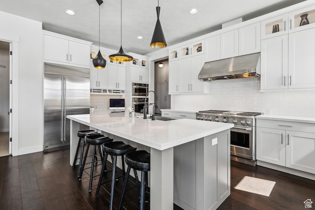165 E Wasatch Way, Snyderville, UT 84098 - kitchen with ventilation hood, dark wood-style floors, a kitchen island with sink, a sink, and premium appliances