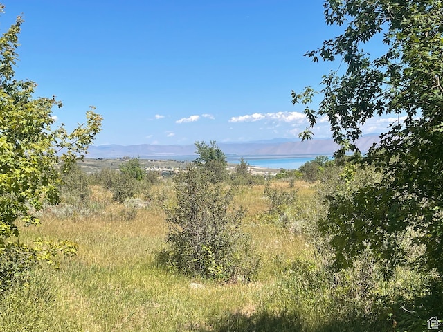 347 Cold Springs Dr, Fish Haven, ID 83287 - photo 5