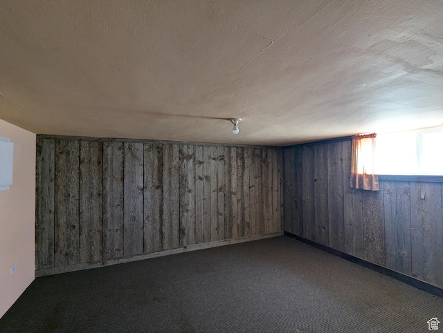 basement with wooden walls and carpet flooring