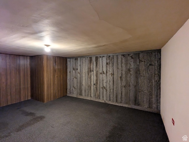 finished basement with carpet and wood walls