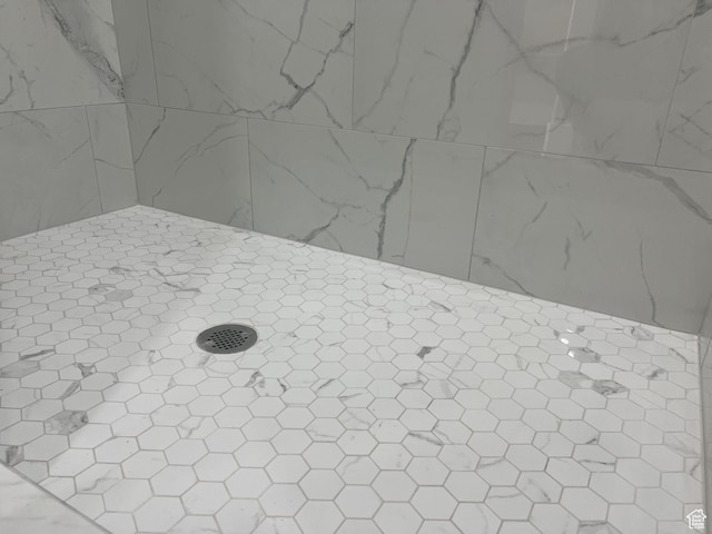 572 S 600 E Unit 2, Nephi, UT 84648 - room details featuring tiled shower