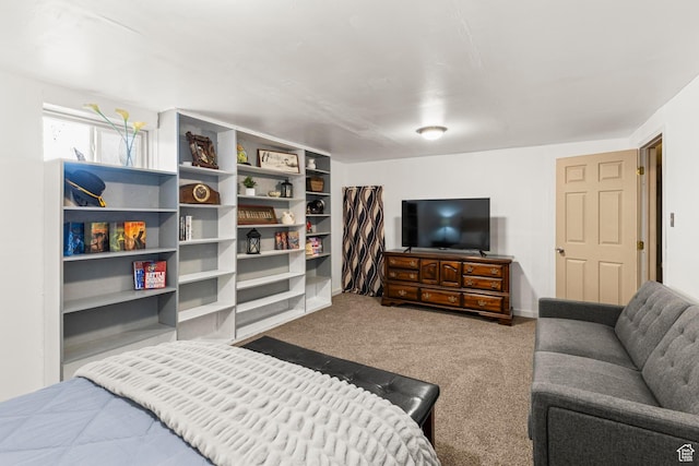 bedroom featuring carpet flooring