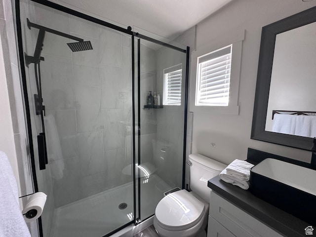 631 S Maple Dr, Garden City, UT 84028 - bathroom with toilet, a stall shower, and vanity