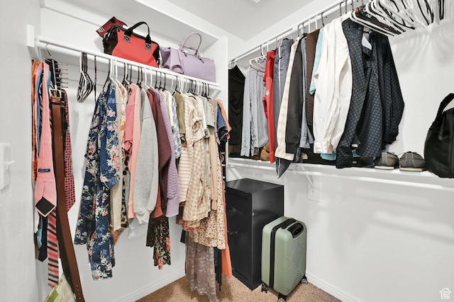 462 W 1490 N Unit 102, Logan, UT 84341 - view of walk in closet