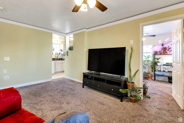 661 E 2735 S, Ogden, UT 84403 - carpeted living room featuring baseboards, a textured ceiling, ceiling fan, and ornamental molding