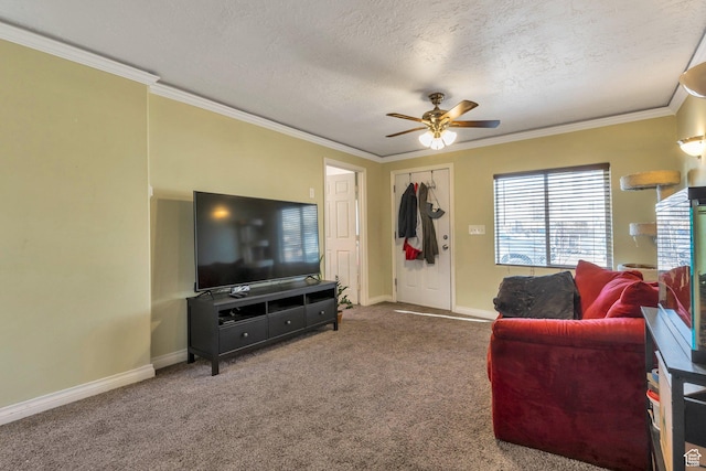 661 E 2735 S, Ogden, UT 84403 - carpeted living area featuring crown molding, a ceiling fan, baseboards, and a textured ceiling