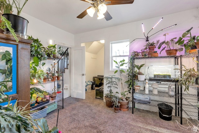 661 E 2735 S, Ogden, UT 84403 - interior space featuring a ceiling fan, stairs, and carpet
