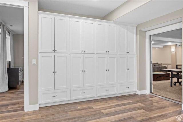 1336 S 2650 E, Springville, UT 84663 - view of closet