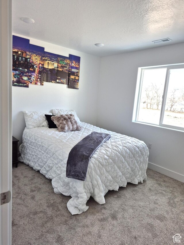 200 S 460 W Unit 4, Delta, UT 84624 - carpeted bedroom with baseboards, visible vents, and a textured ceiling