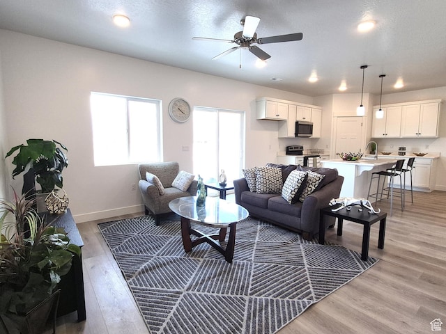 200 S 460 W Unit 4, Delta, UT 84624 - living room featuring a ceiling fan, baseboards, and light wood-type flooring