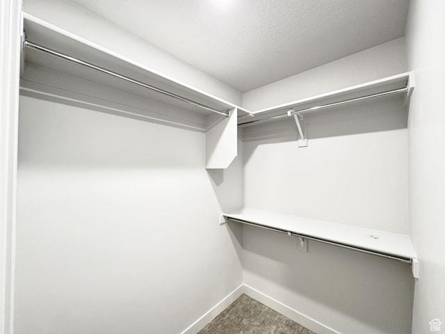 spacious closet featuring carpet floors