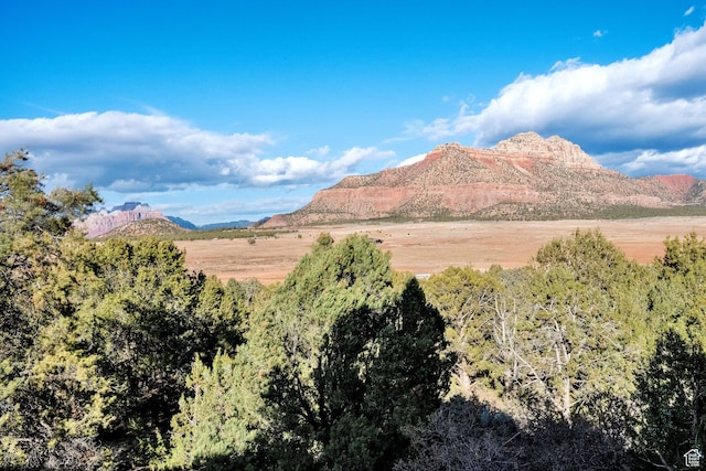 1617 N Mount Zion Dr, Apple Valley, UT 84737 - mountain view